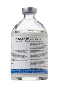 Penstrep 20-25 inj 100 ml