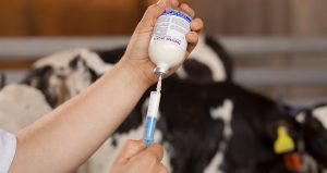 Kepro Penstrep 20/25 inj