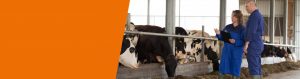 Header veterinary advise share knowledge